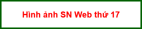 Hình ảnh SN Web thứ 17
